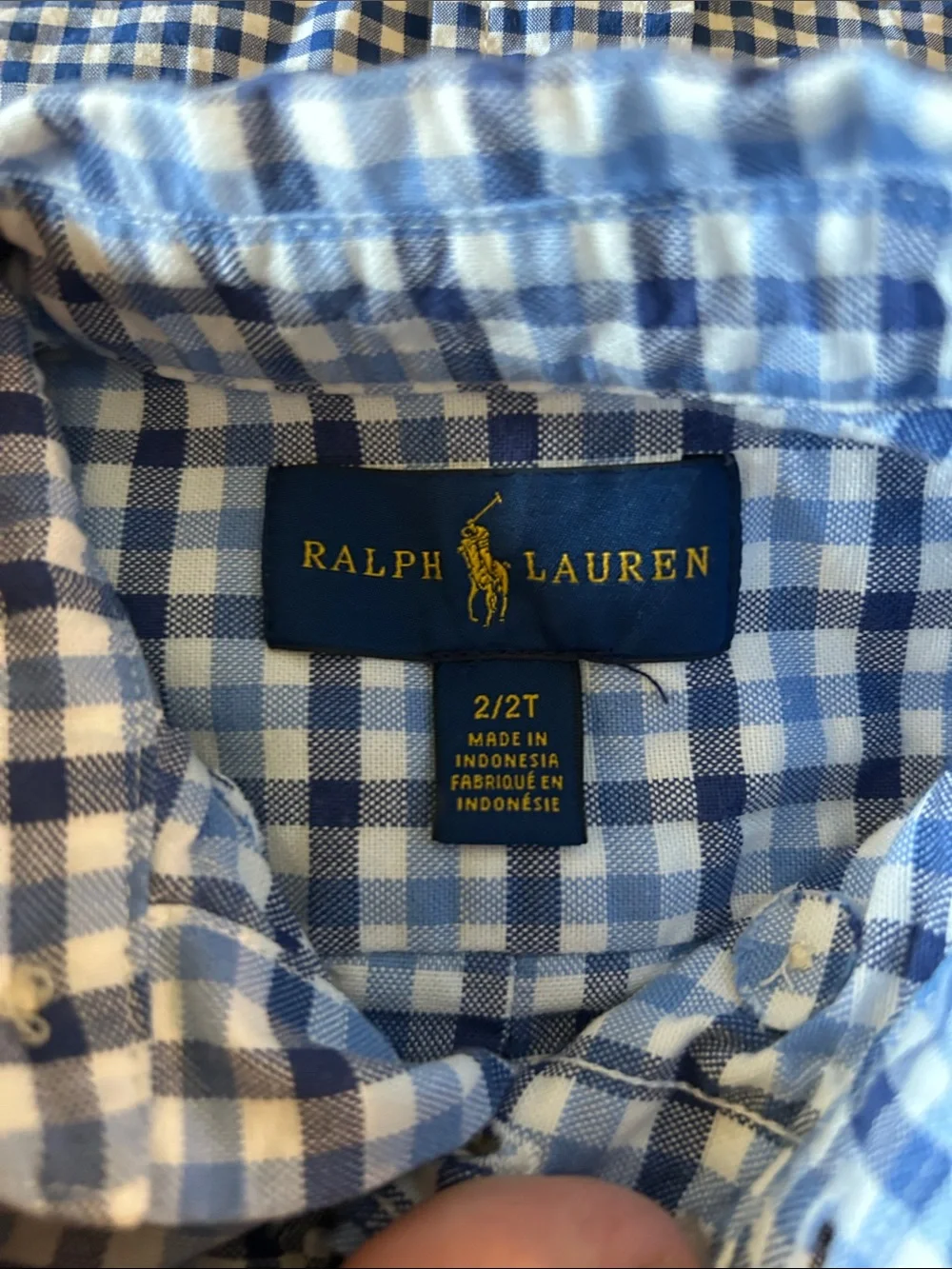 Ralph Lauren Boys' Blue & White Gingham Button-Down Shirts